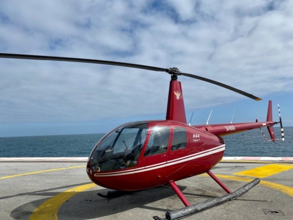 Guest Training Flight - Image 3